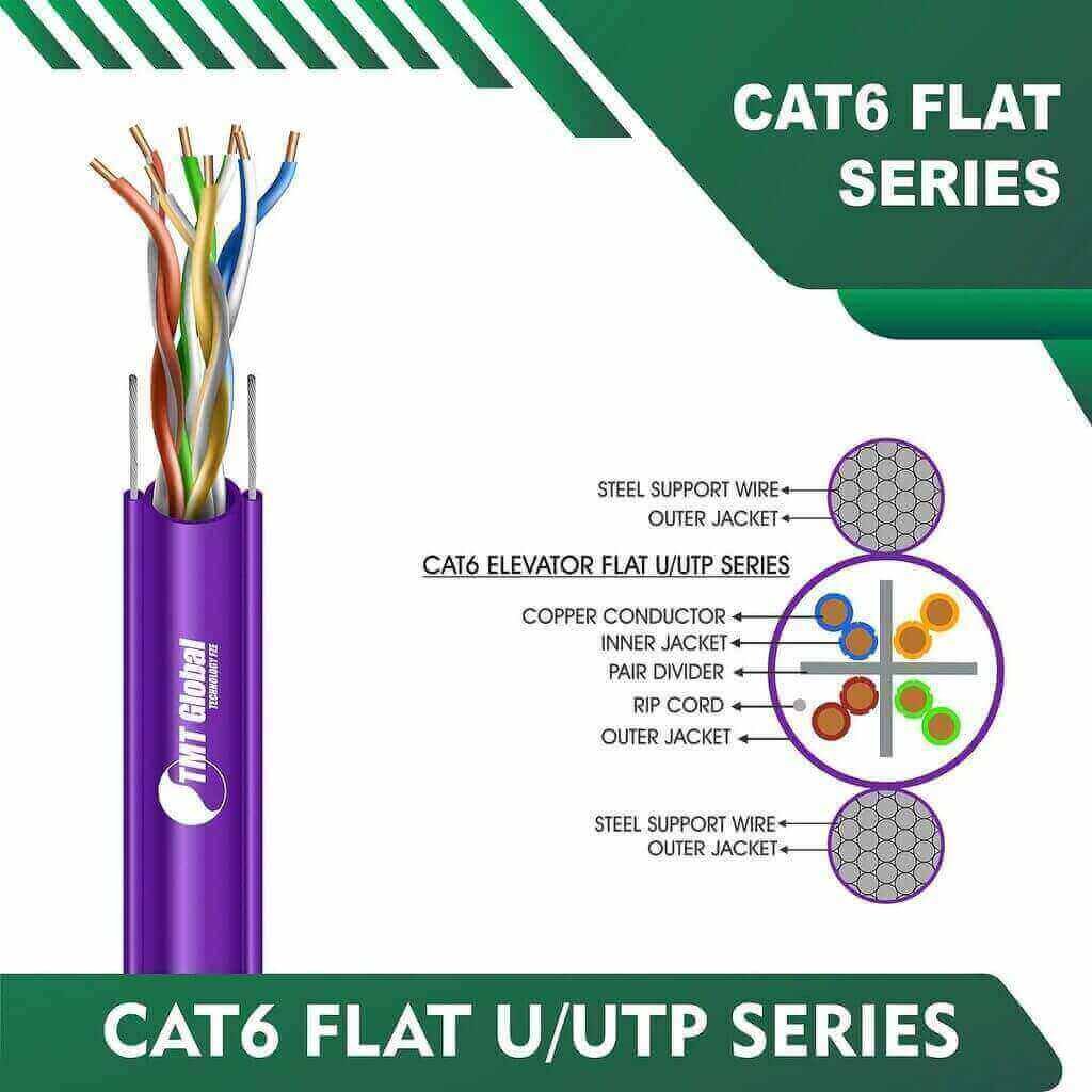 cat6-VOILET